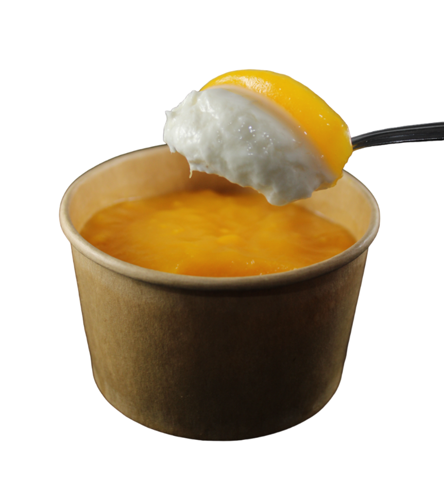 Pannacotta de mango